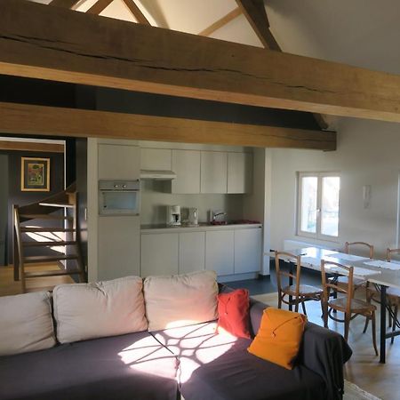 B&B / Studio De Druivelaar In Hartje Kluisbergen Εξωτερικό φωτογραφία